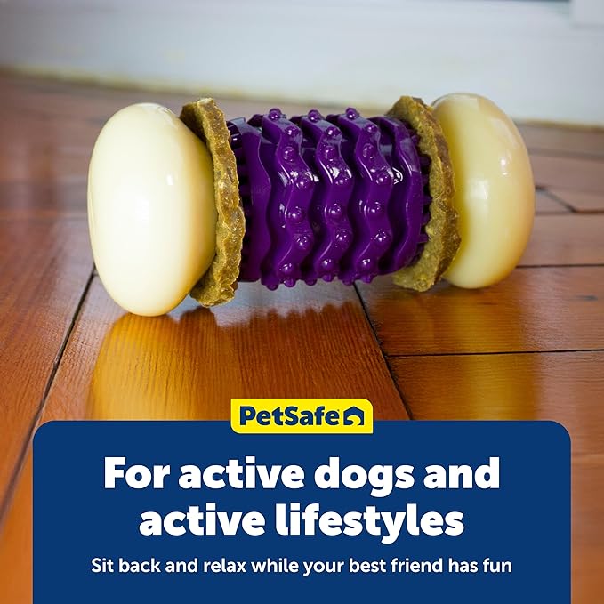 PetSafe Busy Buddy Nobbly Nubbly Treat Holding Dog Toy Strong Chewers Small
