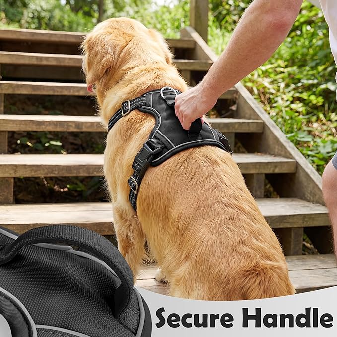 Funfox Dog Harness Medium Sized Dog, Vertical Handle Easy Control, No Pull Pet Vest Adjustable with 2 Leash Clips, Soft Material, Reflective Safe Night Walking for Small Medium Large Breed, Black, M