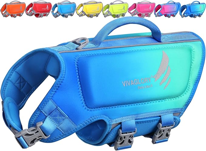 VIVAGLORY High Buoyancy Dog Life Vest, Swimming Vest with Handle, Dog Life Jacket for Swimming & Boating, Buoyancy for Puppy Doggy, XS, Turquoise
