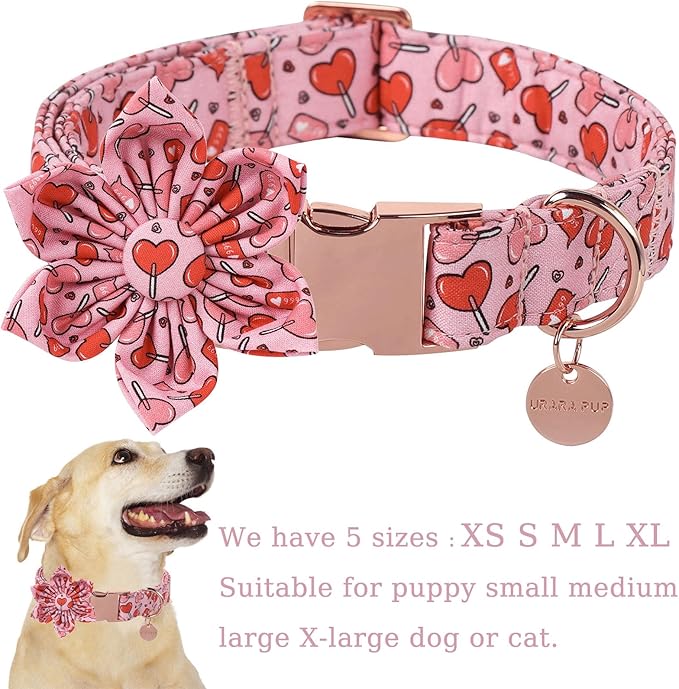 Valentine Dog Collar with Flower, Heart Flower Collar for Puppy Girl Boy Dog or Cat, Comfortable Dog Collar Flower with Durable Metal Buckle, Cute Pet Collar, XS, Neck 8-12in