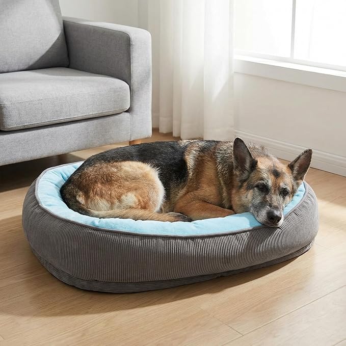 Calming Dog Bed for Medium to Large Dogs 30"x20" - Orthopedic Washable Pet Bed with Anti-Slip Bottom, Indoor Soft Cat Bed with Removable Cover (Sky Blue)
