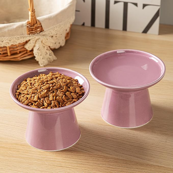 6.2 Inch Extra Wide Elevated Ceramic Cat Bowls, Food and Water Bowl Set for Elder Big Cats Small Dogs, Raised Design for Pet Easy Eating, Protect Cat's Spine Set of 1(Dark Purple)