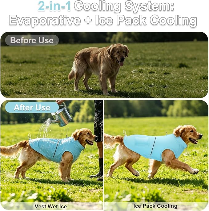 Cooling Vest for Small Dogs with Ice Packs Summer Dog Cooling Vest Soft Stretchable Pet Shirts Clothes with D Ring Reflective, Medium (10-20lbs)