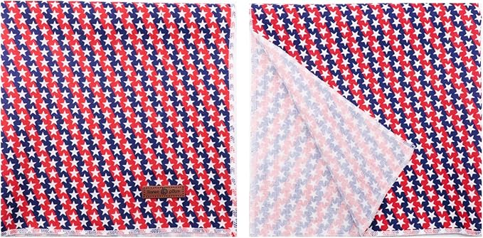 Lionet Paws Dog Bandana,4th of July Fabric Dogs Kerchief for Medium Large Dogs,Dog Cotton Triangle Bibs Scarf for Girl Boy