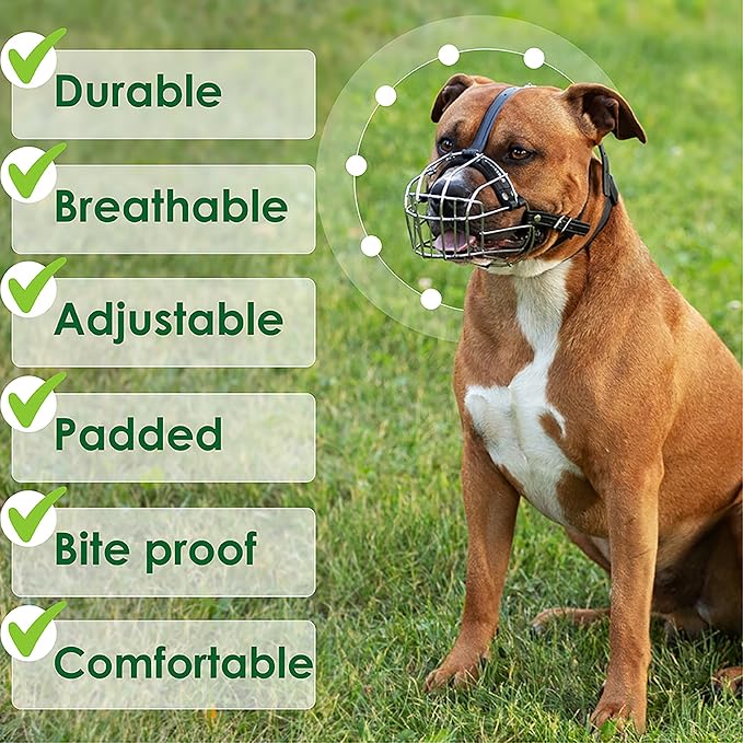 BRONZEDOG Pitbull Dog Muzzle Metal Mask Amstaff Wire Basket Pit Bull Adjustable Leather Straps for Large Dogs (Gold)