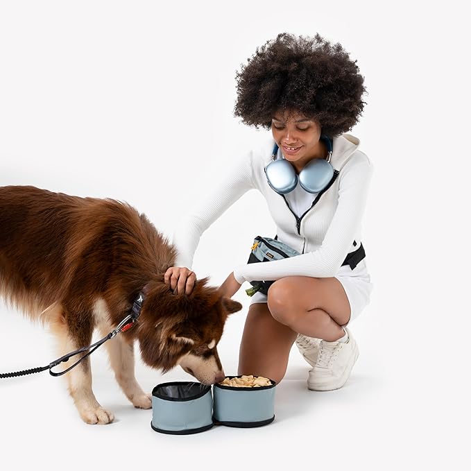OllyDog Superbowl | Collapsible Dog Travel Bowl | 2-Compartment Food & Water | Foldable Portable Dog Dish | Hiking Camping Backpacking | Small Medium Large Dogs (St. Lucia)