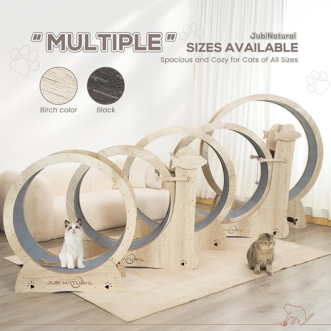 Cat Exercise Wheel, 35.9" Cat Running Wheel for Indoor Cats with Quiet Carpeted Runway, Cats Treadmill Wheels with Locking Mechanism, Cat's Weight Loss and Health - Black