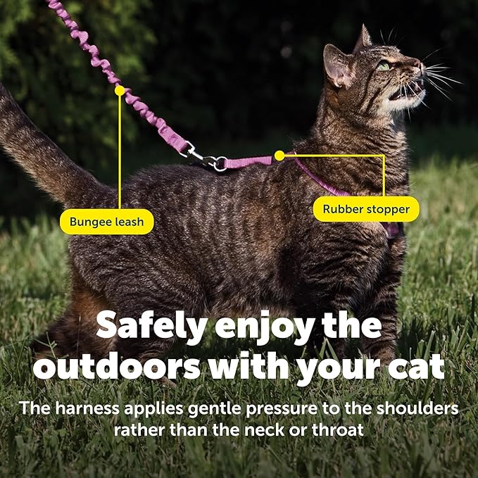 PetSafe Come with Me Kitty Harness and Bungee Leash Adjustable, Lightweight Harness for Cats Medium, Dusty Rose