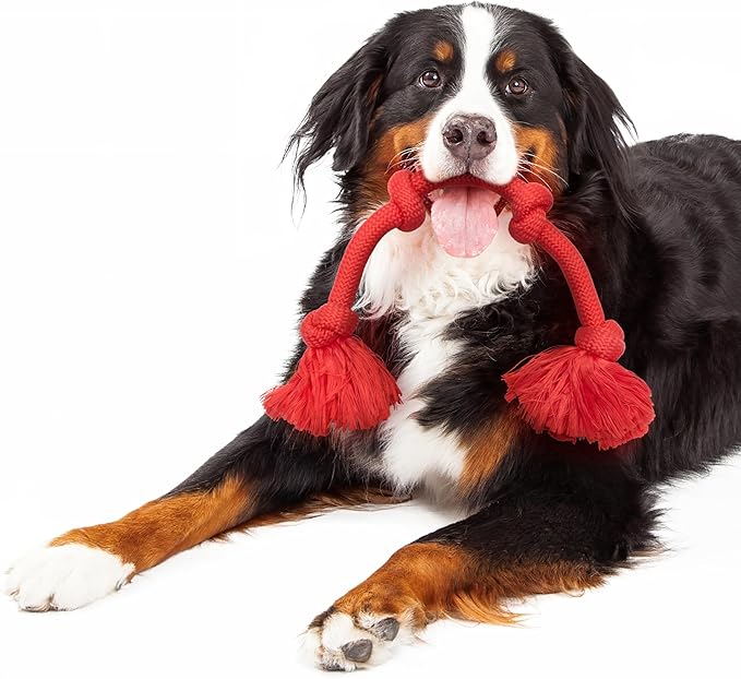 Playology Dog Toys | Dri-Tech Rope Tug of War Dog Toy for Tough Chewers | Beef Scented Mega Size Tug Rope Toys for Extra Large Dogs