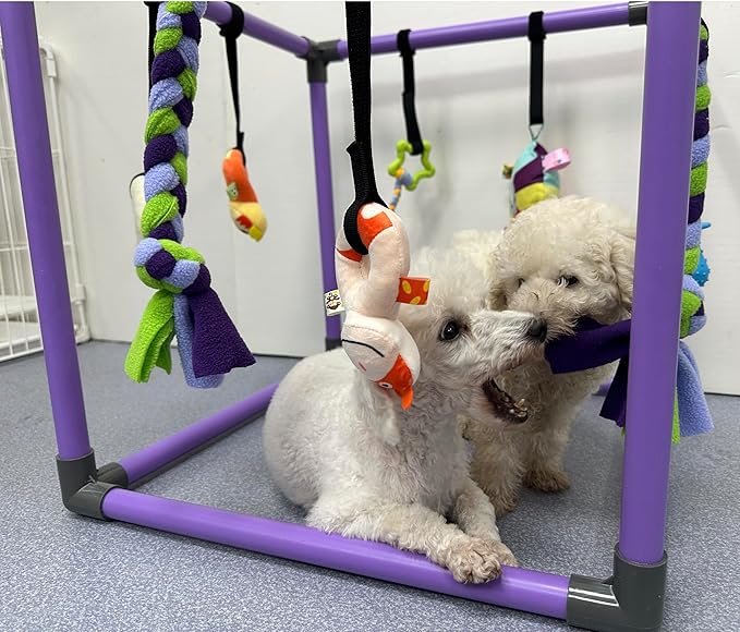 DOZZOPET Puppy Play Gym for Small Dogs with 8 Hanging Toys, Jungle Playground with Interactive Funny Enrichment Toys to Keep Them Busy