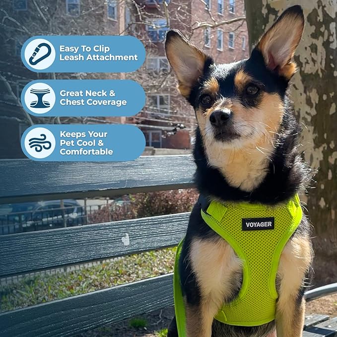 Best Pet Supplies Voyager Step-in Lock Pet Harness w Reflective Pet Leash Combo Set with Neoprene Handle 5ft - Supports Small, Medium and Large Breed Puppies/Cats - Lime Green Set, M