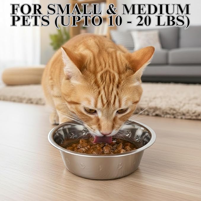 2-Pack Stainless Steel Dog and Cat Bowls 2.5 Cups (0.6L), Durable Metal Pet Food & Water Dish for Small Pets – Rust-Resistant