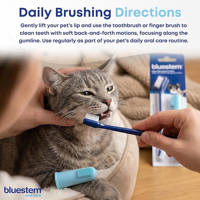 Bluestem Toothbrush and Finger Brush (Brush Set)