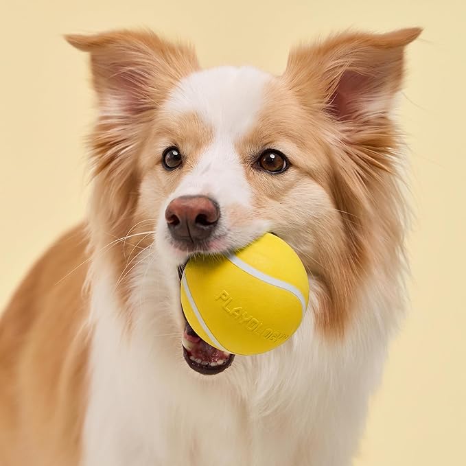 Playology Dog Toys | Squeaky Chew Ball for Large Dogs | Chicken Scented Jumbo Dog Ball | Bouncy Floating Chew Toys for Fetch
