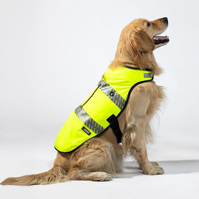 Reflective Dog Safety Vest, Harness and Collar Compatible, Waste Bag Holder, Water Resistant, Adjustable Neck and Chest, Day or Night Walking, High-Visibility Protection (Lime, S)