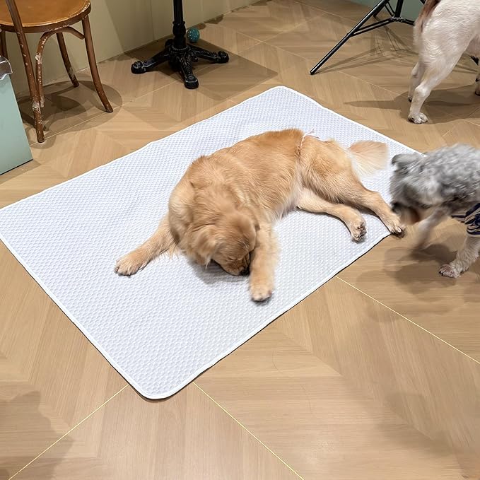 Dog Cooling Mat 60"x40" for Giant Dogs (Great Danes, Mastiffs), Q-Max>0.4 Ice-Silk, Waterproof Non-Slip Machine Washable for Crate Indoor Outdoor Travel (XL)