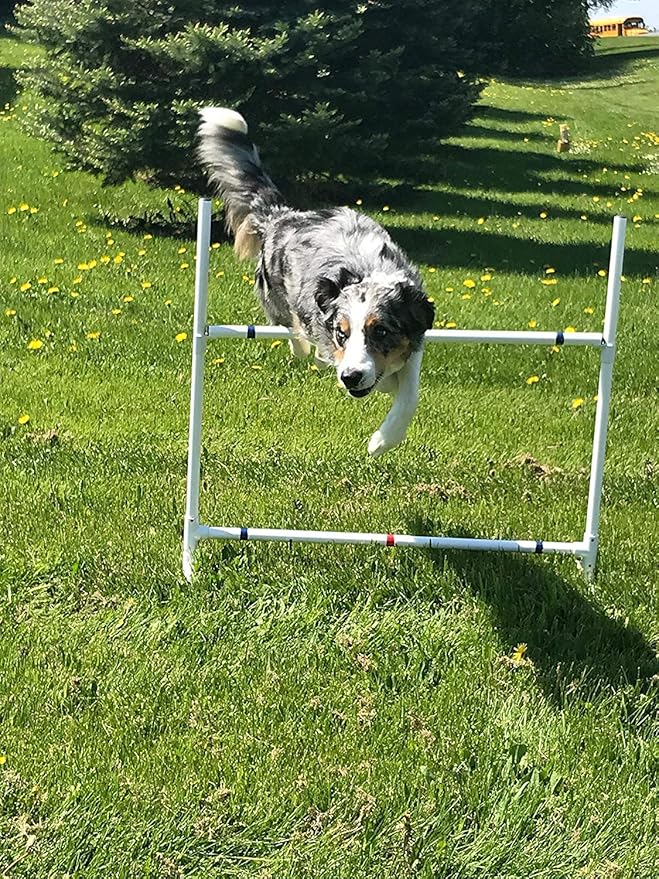 Dog Agility Equipment Single Bar Jumps | Set of 2 Jumps