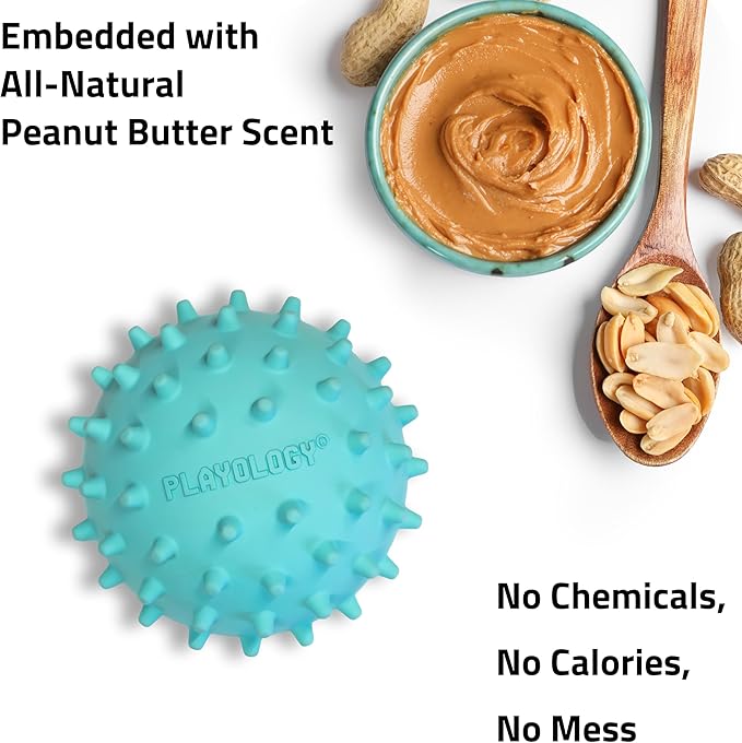 Playology Dog Toys | Squeaky Spiky Chew Ball for Medium Dogs | Peanut Butter Scented Dog Ball for Tough Chewers