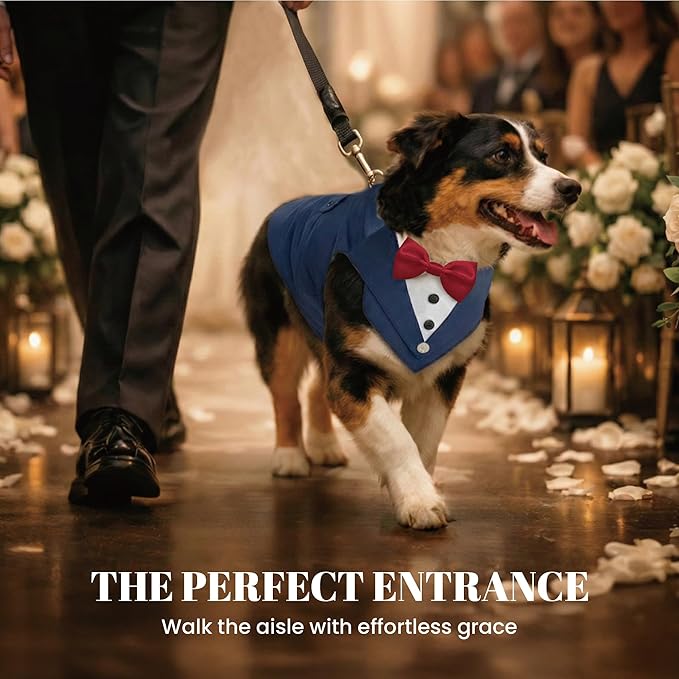 AVERYDAY 2 Pcs Dog Tuxedo & Bandana Set, Dog Suit Costume with Bowtie for Wedding Outfit, Pet Tux Harness with Leash Ring for Party Birthday Christmas, Formal Wear for Small Medium Large Breed
