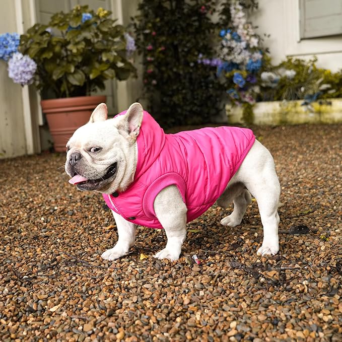 Vecomfy Lining Extra Warm Dog Hoodie in Winter for Large Dogs Jacket Pet Coats with Hooded Pink XXL