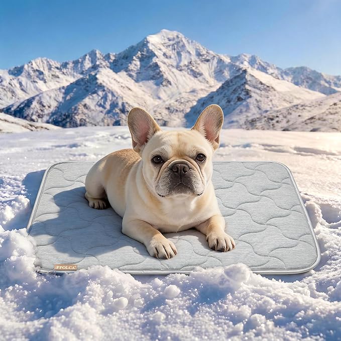 PPOLCA Waterproof Cooling Mat for Small Dogs - Q-MAX>0.5, Thin Memory Foam Kennel Dog Crate Bed, Portable Non-Slip & Machine Washable Dog Pad for Indoor & Outdoor 18x24, Grey