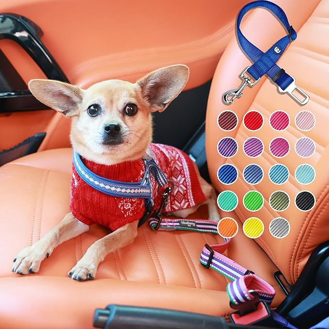 Blueberry Pet Dog Leash Puppy Essentials Seat Belt Tether for Dogs Cats, Florence Orange, Heavy Duty Dog Leashes for Large Dogs - Safety for Pet Parents, Road Trip Enthusiasts, 2"x27.5"