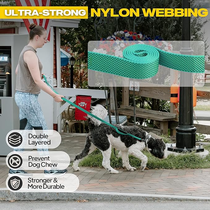 Fida 10ft Heavy Duty Dog Leash with 2 Comfortable Padded Handles, Traffic Handle & Advanced Easy Snap Hook, Reflective Walking Lead for Large, Medium & Small Breed Dogs, Teal