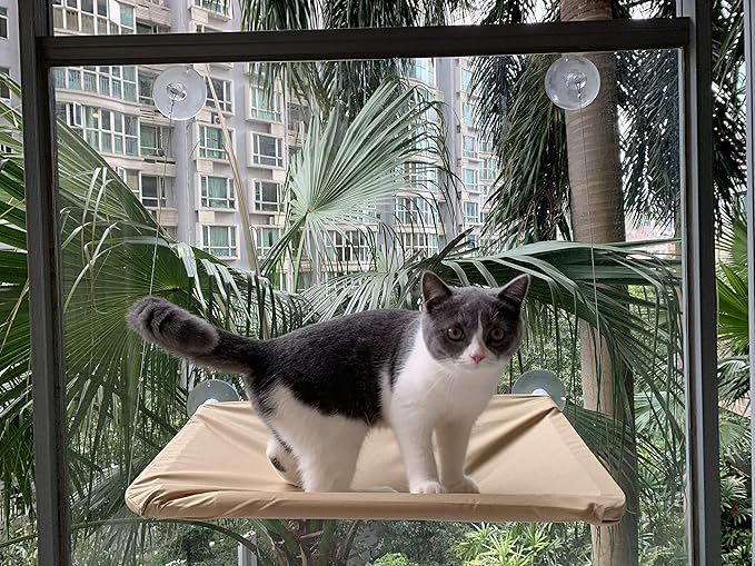 Cat Window Perch,Cat Hammock Window Seat Bed Space Saving Design 360° Sunbath Holds Up to 50lbs for Any Cats Size