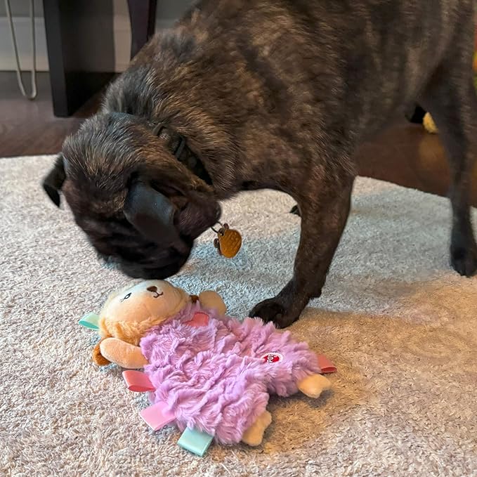 SPOT Soothers Tabbie Lambie Dog Toy - 8in Mini Stuffing-Free Calming Plush with Lavender Scent & Squeaker for Toy Breeds & Puppies, Anxiety Relief - 1 of 3 Assorted Colors, Sent at Random