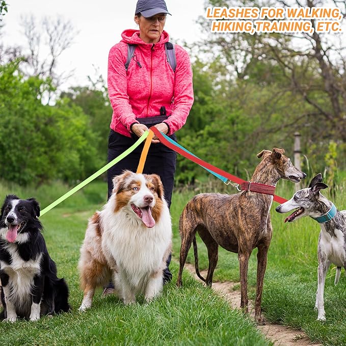 24 Pcs Dog Leashes for Small Medium Large Dogs, 6FT Lead Short Dog Leash with Swivel Hook for Walking, Training, Hiking, Rescues, Grooming, Shelter, Outdoor
