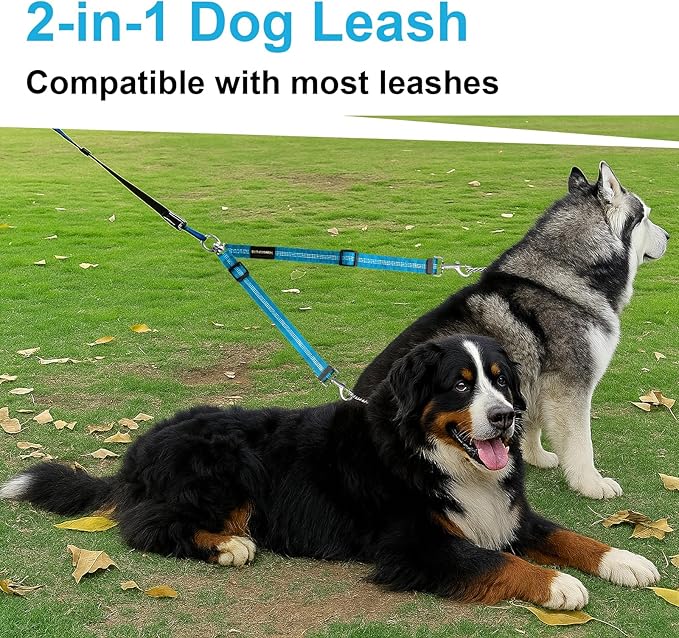 MingXpet Double Dog Leash for Two Dogs, No Pull Dog Leash, 360° Swivel No Tangle for Large Dogs Walking & Training, Shock Absorbing Reflective Bungee, Blue