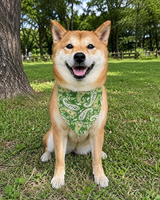 PET SHOW 50 Pack Small Paisley Dog Bandanas Bulk Dog Scarves Puppy Floral Bibs Kerchief Set for Medium Dogs Girl Boy Pet Holiday Party Grooming Accessories