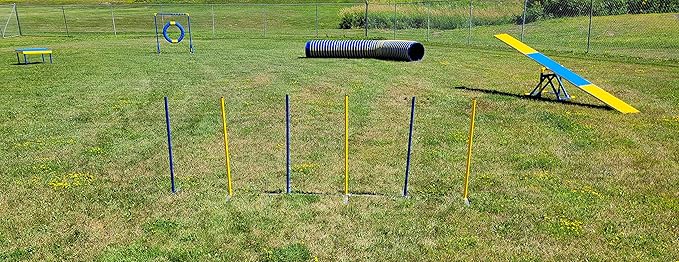 ActiveDogs Agility Above Ground Weave Poles - Outdoor Dog Obstacle Agility Training Exercise Equipment (Competition Weave Pole System - 6 Pole)