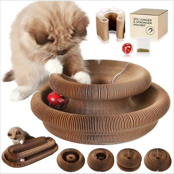 Accordion Cat Toy Scratcher – Cat Toys for Indoor Cats – Expandable Cat Cardboard Scratcher, Magnetic Reversible Interactive Cat Toy | LittleMitts