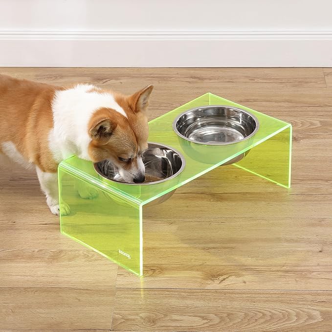 THE LICKER Store DBL2001G Keaton 7.5" Medium/Large Modern Acrylic Rectangular Elevated Pet Feeder with 54oz 2-Stainless Steel Bowls, Green/Chrome