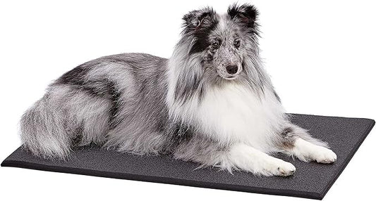 MidWest Homes for Pets Cushioned Dog Crate Mate, 30 inch Black