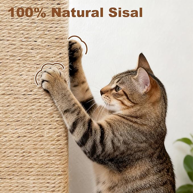 Tall Cat Scratching Post for Indoor Cats Adults, 33'' Large Cat Scratch Post with Perch, Cute Cat Scratching Post with Boho Carpet ＆ Dangling Ball Toys, Green