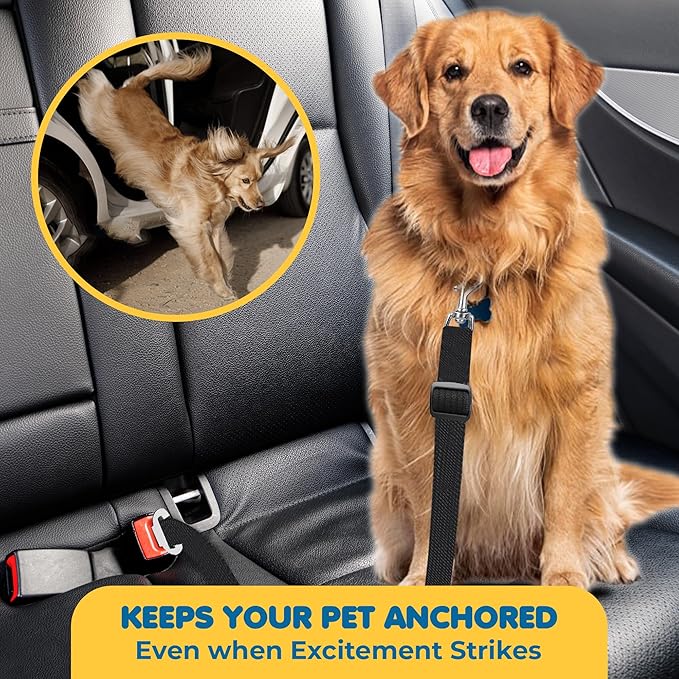 SunGrow Dog Seatbelt & Leash, Universal Vehicle Seatbelt Harness for Car Headrest, Pet Travel Essential, Adjustable Lead, Black Nylon, 19”-31” & 14-19” x 17-30”, 2 Pcs. Per Pack