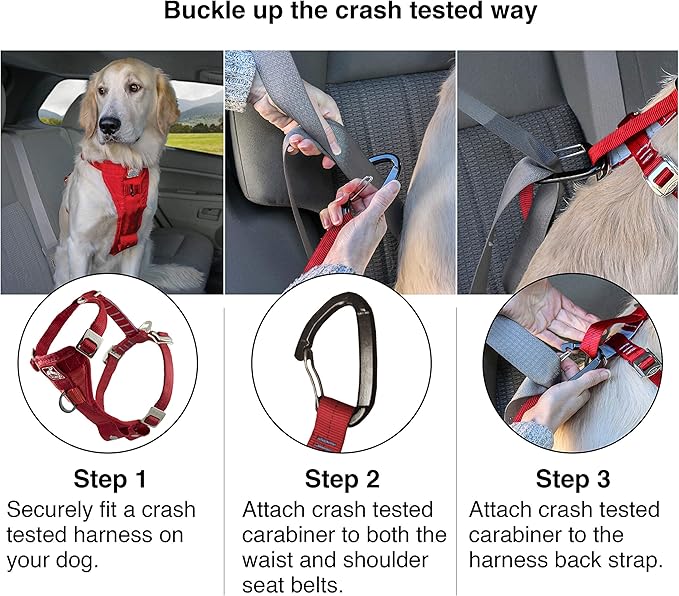 Kurgo Enhanced Strength Tru-Fit Dog Car Harness - Pet Travel Safety Harness - Crash Test Certified Fit - Five Point Adjustment - Secure Buckle - Padded Chest - Ink Blue - Medium