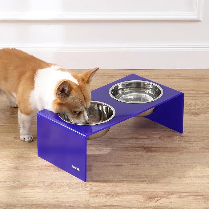 THE LICKER Store DBL2001F Keaton 7.5" Medium/Large Modern Acrylic Rectangular Elevated Pet Feeder with 54oz 2-Stainless Steel Bowls, Purple/Chrome