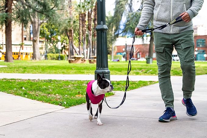 Gooby Puffer Vest - Turquoise, X-Large - Ultra Thin Zip Up Wind Breaker with Dual D Ring Leash - Water Resistant Small Dog Sweater Coat - Dog Clothes for Small Dogs Boy or Medium Dogs