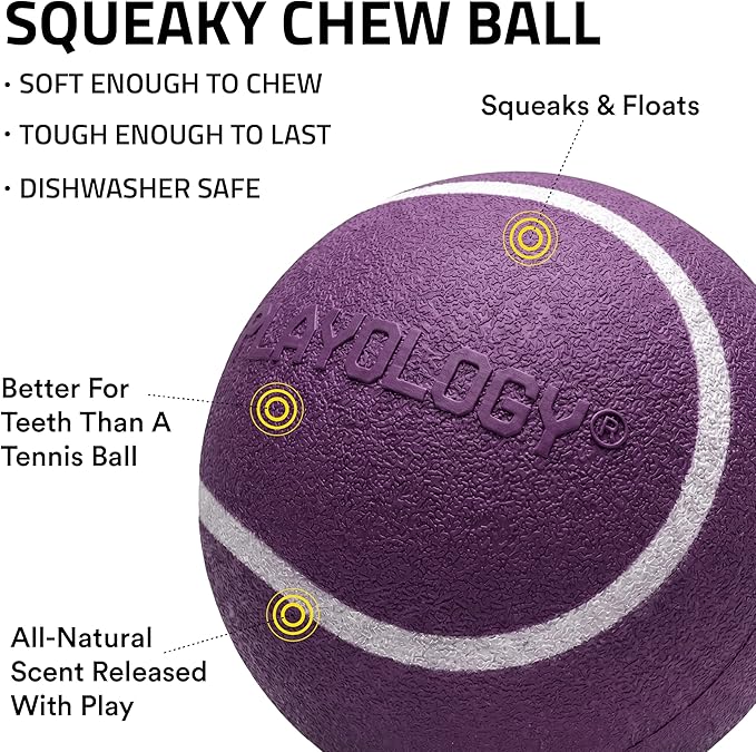 Playology Dog Toys | Squeaky Chew Ball for Dogs | Bacon Scented Medium Dog Ball | Bouncy Floating Chew Toys for Fetch