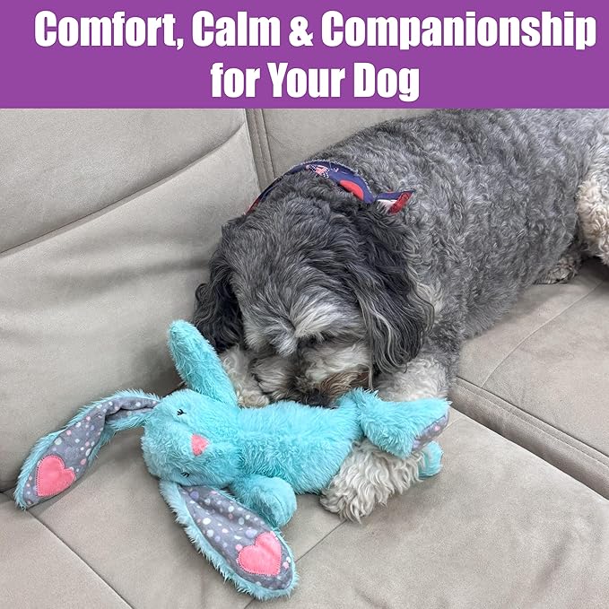 SPOT Soothers Heartbeat Bunny – 12 Inch Calming Plush Toy for Dogs & Puppies – Heartbeat Mechanism, Lavender Scent Beads, and Squeaker – Helps with Anxiety & Crate Training, Assorted Colors