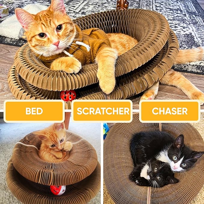 KITTY KURLZ Interactive Cat Toy with Rolling Ball, Shape-Shifting Cardboard Scratcher & Collapsible Scratch Pad Ring for Indoor Cats, Play, Lounge & Enrichment