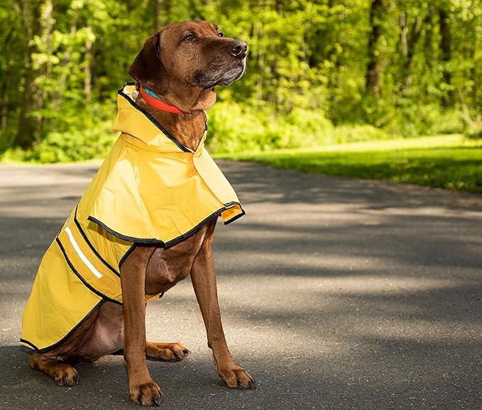 Fashion Pet Rainy Days Slicker Yellow Raincoat, X-Small (560YXS) (Pack of 2)