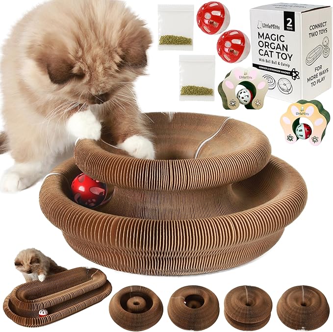 2-Pack Accordion Cat Toy Scratcher – Cat Toys for Indoor Cats – Expandable Cat Cardboard Scratcher, Magnetic Reversible Interactive Cat Toy | LittleMitts