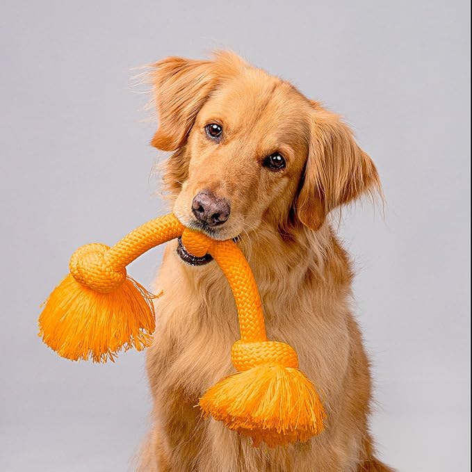Playology Dog Toys | Dri-Tech Rope Tug of War Dog Toy for Tough Chewers | Cheddar Cheese Scented Jumbo Tug Rope Toys for Large Dogs