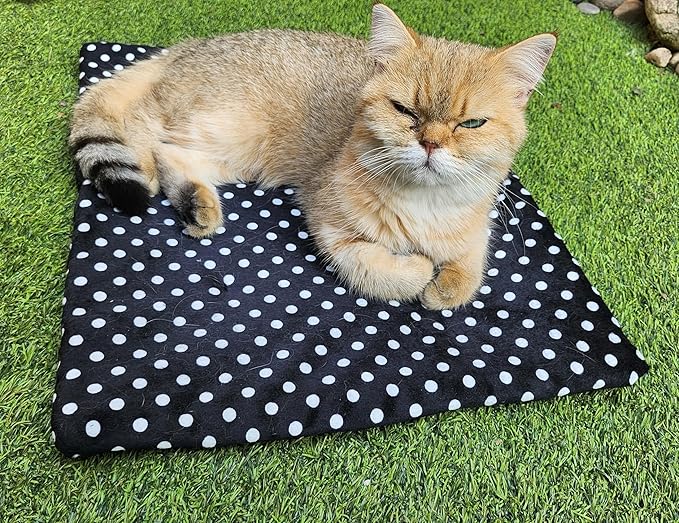 USB Heating Warmer Pad Bed for Cat, Small Dog and Pet, Safe 5V2A Power-Bank Battery Operated, 3-Temperature Settings, Washable, for Indoor and Outdoor Use. 15" x 19" x 0.6" (Black)