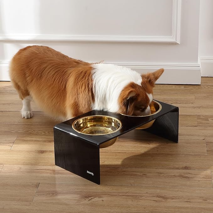 THE LICKER Store DBL2001B Keaton 7.5" Medium/Large Modern Lucite Rectangular Elevated Pet Feeder with 54oz 2-Stainless Steel Bowls, Black/Gold