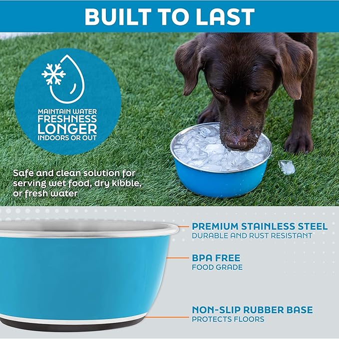 Master Pet Supply Stainless Steel Dog Bowls Set of 2 (16 Oz Each) with Non-Slip Rubber Base - Crimson Flame - Basic Dog Food Bowl Water & Food Bowls for Small Medium Large Dogs & Cats, Metal Dish